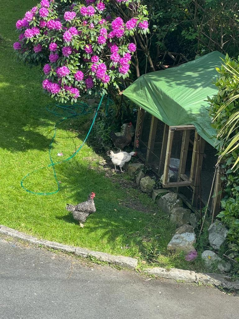 Avonbeg Cottages 2 Bed 1 Bath Accommodate 3 Guests Rathdrum Dış mekan fotoğraf