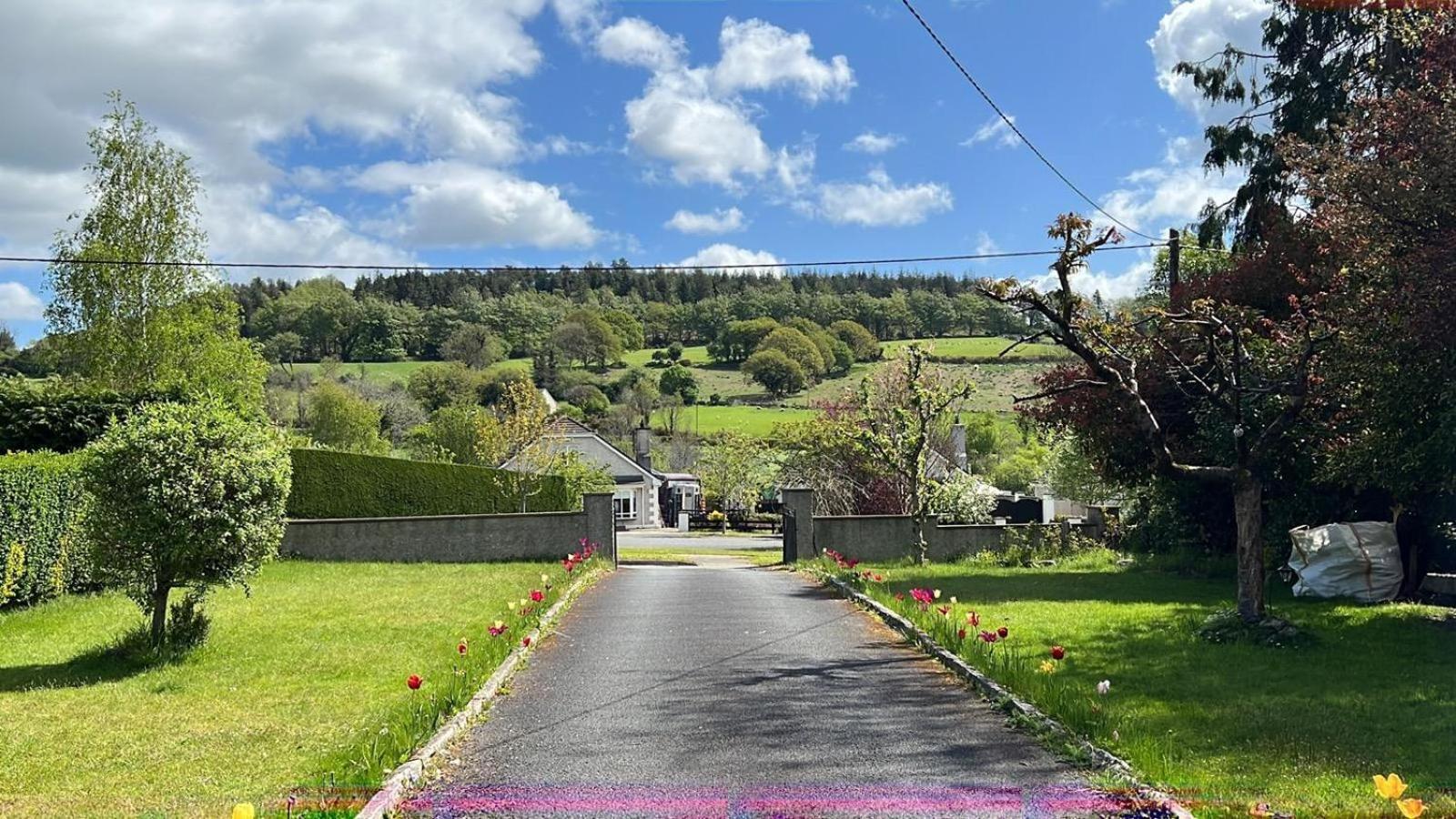 Avonbeg Cottages 2 Bed 1 Bath Accommodate 3 Guests Rathdrum Dış mekan fotoğraf
